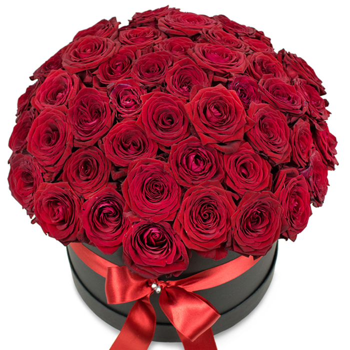 Captured here is a lavish hatbox arrangement from a Canonbury florist, featuring dozens of perfectly bloomed deep red roses, each with sumptuous velvety petals and a hypnotic spiral at its heart. The intensely coloured blossoms are densely bound in a breathtaking dome, which seems to overflow the gentle curve of a matte black circular box-a contemporary flourish matching the creative energy of Canonbury and neighbouring Islington. The black container throws the dramatic, passionate reds into vivid relief, creating a sense of visual depth and contrast admired in gallery settings along St. Mary's Path. Around the box's middle, a wide red satin ribbon is gracefully tied into a neat bow, its silky fabric softly catching the light. A sparkling crystal-like detail at the ribbon's centre adds a moment of glamour, inviting closer inspection and suggesting artistry beyond the blooms themselves. The entire composition is set against a luminous white background, ensuring the roses' natural splendour remains the sole focus. This floral masterpiece, with each rose distinct yet harmonious in the arrangement, embodies affectionate celebration-a popular choice for anniversaries near Canonbury Square, grand romantic gestures, or thoughtful gifts meant to leave an indelible memory along the leafy streets of N1.
