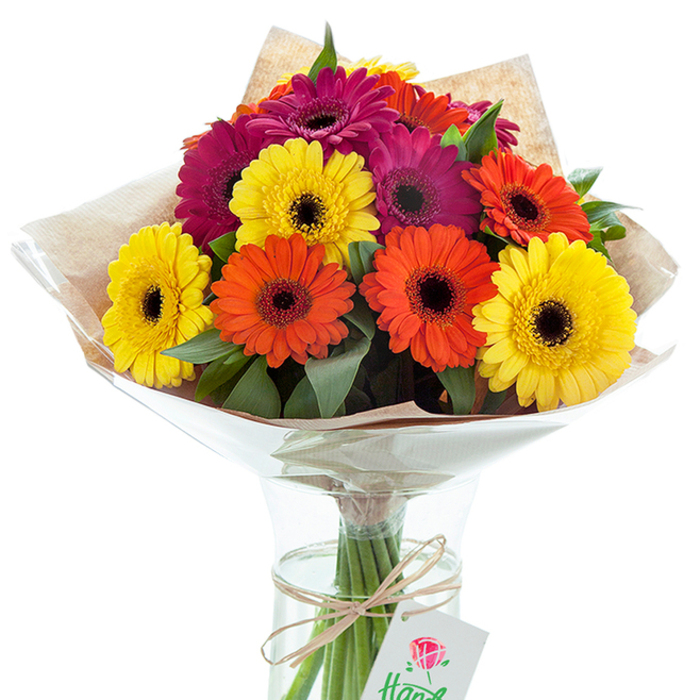 Presented against a crisp white canvas, this exuberant bouquet of Gerbera daisies, featured in a clean glass vase, bursts with celebratory colour and artistry. Each daisy tells a story: golden yellows that recall the sunny paths along Canonbury Square, zesty oranges glowing with autumnal warmth, and fuchsias as rich as twilight blooms in Arundel Square gardens. The petals radiate from rich, dark central disks, their textures vivid and inviting, contrasting with the lush green leaves woven throughout, reminiscent of the community parks nearby. Artfully wrapped in naturally toned kraft paper, the bouquet feels both rustic and refined-echoing the blend of style and warmth found in Canonbury's local shops-while a protective, glossy layer of cellophane flares around the blooms and catches the ambient light. The stems, immersed in sparkling water, are visible through the vase's graceful curve, bound by a twist of natural raffia. A petite white tag adorned with a red rose motif dangles nearby, suggesting this bouquet is ready as a memorable gift or a centrepiece for a family gathering. Designed by expert florists in Canonbury, this arrangement captures the spirit of celebration and care that characterises the neighbourhood, making it a perfect choice for birthdays, housewarmings, or simply brightening up a loved one's day.