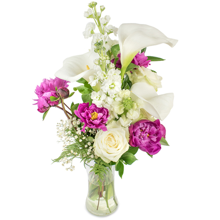 A tall, thoughtfully balanced bouquet that pairs modern serenity with garden-rich romance: slender white calla lilies lift above the mass with their porcelain-like trumpets and subtle yellow spadices, providing clean vertical lines that guide the eye. Below and around them, sumptuous magenta peonies burst open in deep, velvety ruffles - two large, fully unfurled blooms dominate the lower plane while a neat bud on its stem suggests more bloom to come. Anchoring the lower centre, a creamy white rose offers a compact, classic note, its soft petals almost luminous against the darker pinks. A prominent spire of white stock (or larkspur-type florets) rises nearby, introducing clusters of tiny blossoms that add texture and gentle movement. Interspersed airy sprays of baby's breath lend a feathery softness, and the varied greens - from delicate fern fronds to broader, glossy leaves - frame the flowers with a fresh, garden-won depth. All stems are visible through a gently curved clear glass vase filled with water, lending a transparent, honest feel and catching soft daylight that brightens the colours. The bouquet's scent is an elegant blend of cool calla, honeyed peony, and a whisper of rose, a composition that reads as both celebratory and consoling. Perfect for marking birthdays, anniversaries, or a thoughtful 'thinking of you' delivery, this arrangement reflects the craftsmanship of local florists supplying homes around Canonbury Square, Upper Street, and nearby neighbourhoods.