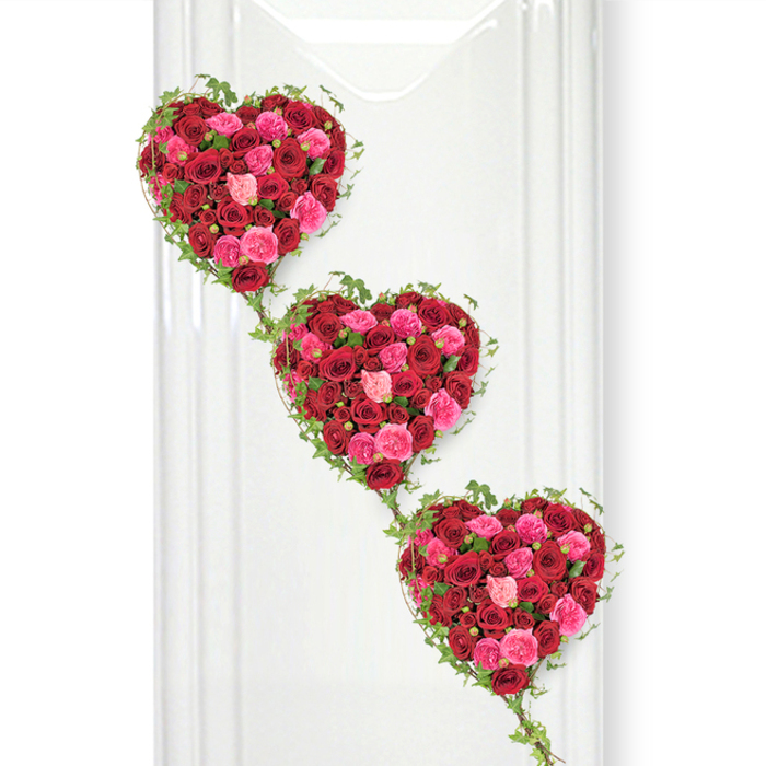 In this moving floral tribute, three heart-shaped arrangements rich with roses appear one beneath the other, forming a gentle cascade that draws the eye from the top left down to the bottom right. The hearts are tightly composed, every inch filled with roses whose petals look soft, full, and freshly opened, as if they have only just arrived from an early-morning market. Deep red roses dominate, their velvety petals curling inward like little shadows of burgundy and wine, while clusters of fuchsia and blush pink blooms are woven throughout, adding light, tenderness, and a sense of hopeful remembrance. The contrast between the intense reds and the softer pinks creates depth and texture, so each heart feels almost three-dimensional, standing forward from the clean white background. Delicate trails of green ivy define the outer edges, the small, pointed leaves hugging the contours of each heart and then stretching downward to connect them, like a living thread of memory that refuses to break. The polished, white surface behind the flowers, reminiscent of a freshly painted wall in a Canonbury townhouse or a simple panel in a local chapel, reflects a touch of light, enhancing the clarity and freshness of the blooms. This arrangement would be at home at a funeral or memorial service across Canonbury and the surrounding Islington streets, perhaps resting beside a coffin or displayed near the front of a service space. The cascading hearts evoke layered emotions-romantic love, family devotion, and long-held friendships-making this design a deeply personal way to say goodbye while surrounding a loved one with beauty.