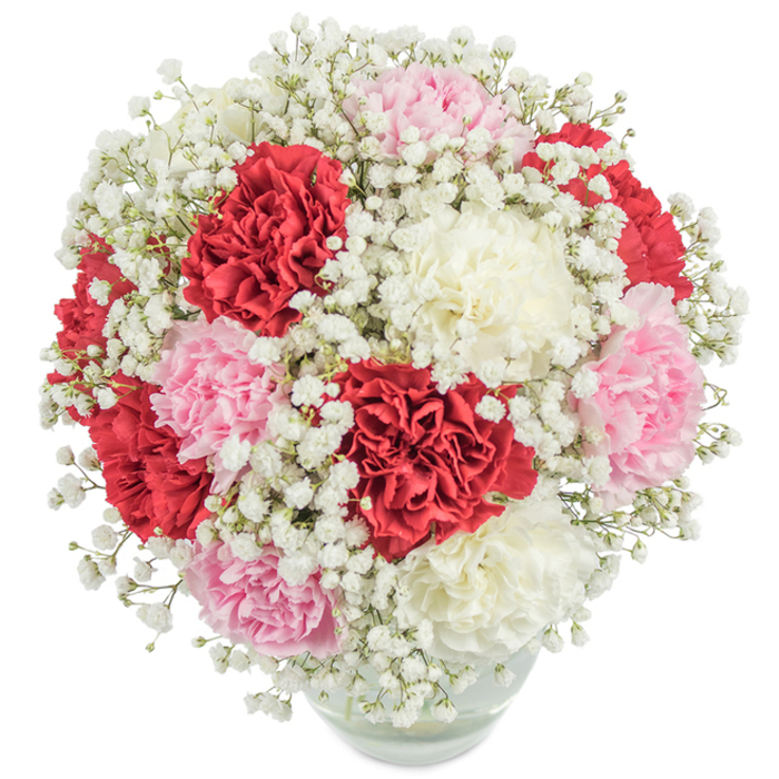 Presented against a flawless white backdrop, this exuberant arrangement showcases the expertise and heart of Canonbury's floral community. An abundant collection of carnations-deep, vibrant reds, soothing blush pinks, and velvety whites-are artfully grouped in a clear, rounded glass vase. The carnations' plush, ruffled petals intertwine to create a lush, rounded display, a bouquet that feels both contemporary and steeped in tradition. Emerging between these vivid blossoms are plentiful sprigs of airy white baby's breath, each floret adding a dreamy, cloud-like layer that lifts and softens the richer hues. The bouquet's nearly spherical form, designed with a florist's intuition and care, mirrors the bountiful arrangements often admired by Canonbury's residents at local celebrations, from birthdays on St. Paul's Road to anniversaries in Islington's historic townhouses. The pristine lighting brings out the bouquet's chromatic vibrancy and ensures every petal gleams with freshness. Stems, visible through the transparent vase, are gathered in water, celebrating the life pulsing through each flower. This elegant bouquet evokes love, admiration, and joy-making it a natural choice for special occasions or as a heartfelt gift in the Canonbury area. Its fullness and soft textures offer both visual and emotional richness, a classic gesture of appreciation sure to be cherished by recipients throughout North London.