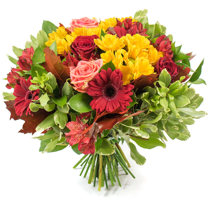 This autumnal hand-tied bouquet presents a rich, layered composition of warm colours and varied textures: deep crimson gerbera daisies with broad petals and dark centres punctuate the arrangement alongside sumptuous burgundy roses, some unfurled into soft rosettes and others held in tighter buds. Bright yellow clusters of spray chrysanthemums are scattered through the mass of blooms, creating lively, sunlit notes that lift the overall palette. Soft coral and blush roses introduce a delicate, romantic whisper among the stronger reds, while speckled alstroemeria in shades of red and orange add a fine, filigreed detail. The flowers nestle among a generous selection of foliage-glossy, deep-green leaves for structure and paler, variegated greens for texture-while several large, browned-red autumn leaves are woven through the bouquet to anchor the seasonal theme and add a rustic, foraged feel. The stems are gathered in a neat hand-tied fashion, the fresh green stalks visible where the bouquet rests on the white surface, and the soft natural light gives the petals a gentle translucence at the edges.

The tactile contrasts-velvet roses, crisp chrysanthemum clusters, and the slightly brittle autumn leaves-create a composition that feels both celebratory and homeward. I imagine this arrangement brightening a dining table or mantel in a Canonbury flat on a cool October evening, bringing harvest-coloured cheer to gatherings around St Pauls Road or to seasonal displays in local cafés. It is a thoughtful autumn gift and a strong visual for articles about fall décor, Thanksgiving centrepieces, or seasonal flower delivery in the area.