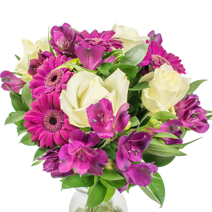 Carefully arranged in a rounded profile and shown against a pristine white backdrop, this bouquet balances bold colour with delicate detail in a way that feels both modern and warmly familiar to anyone who shops near Canonbury Square or walks along Essex Road. Vivid magenta Gerbera daisies anchor the design-each with layered, almost fuchsia petals fanning out from an intricate, darker centre-bringing an immediate sense of cheer. Creamy white roses are tucked in among them, their soft, velvety petals unfurling in classic spirals that lend the bouquet a refined, romantic quality. Threads of deep purple Alstroemeria, known as Peruvian lilies, add an exotic, painterly quality with trumpet-like shapes and tiny speckled markings that provide delicate patterning against the larger forms. Rich, varied greenery-broad leaves that catch light and slender, sword-like foliage that throws elegant shadows-creates depth and frames the flowers so the arrangement reads as full and luxurious without being fussy. A subtle clear glass vase is visible at the bottom, hinting at cool water and neat stemwork below. The bouquet gives off a soft floral scent and a sense of thoughtful craftsmanship, ideal for welcoming visitors, celebrating milestones near Upper Street or sending as a bright, considered surprise. At Canonbury Flowers we arrange these combinations with local tastes in mind, matching freshness and seasonal availability to create bouquets that feel personal and well made.