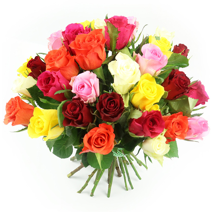 A generous hand-tied bouquet of approximately thirty to forty mixed roses fills the frame against a spotless white background, creating a vivid study in colour and craftsmanship. The flowers are arranged in a compact, rounded mound so dense that the blooms almost overlap, with just small glimpses of foliage breaking through. At first glance, the eye catches the drama of deep red and burgundy roses, their velvety petals layered tightly, then moves outward to discover flashes of bright fuchsia and clear, bubble-gum pink. Sunny yellow roses punctuate the arrangement like little bursts of happiness, while glowing orange blossoms introduce warmth reminiscent of an evening sky over Canonbury's tree-lined streets. Cream and ivory roses are threaded throughout, bringing lightness and a hint of classic elegance. Some heads are fully blown, revealing their spiral hearts and ruffled outer petals, while others remain in bud or half-open, suggesting movement and longevity. Between the flowers, dark, healthy green leaves add depth and a natural frame, confirming that these are fresh, quality stems. Below the opulent crown of roses, their long green stems are neatly aligned and bound together with a fine green and white gingham ribbon, giving the bouquet a ready-to-gift, artisan feel, as if it has just been finished at a bench in a Canonbury Flowers studio off Islington's quieter side streets. The lighting is soft yet bright, with even illumination that enhances every hue and texture rather than casting shadows. This image embodies celebration and affection, perfect for illustrating rose delivery for anniversaries near Highbury Fields, birthdays around Essex Road, or simply a colourful surprise for someone special in the N1 neighbourhood.