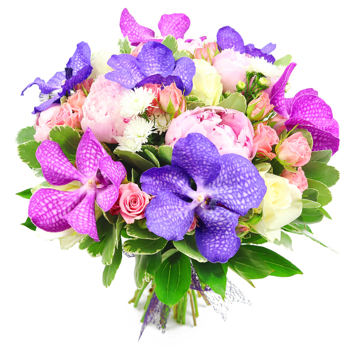 A richly detailed bouquet is captured against a brilliant white background, revealing every nuance of its colour and craftsmanship as if laid out on a florist's bench in Canonbury on a bright morning. Dominating the arrangement are magnificent Vanda orchids, some a saturated indigo purple, others veering into bold fuchsia and magenta, their generous petals patterned with delicate speckles and veins that resemble fine textile work. Interwoven with these dramatic orchids are full, romantic pink peonies, their many-petalled blooms open wide, creating plush, cloud-like forms that invite the imagination to feel their softness and subtle fragrance. Surrounding these focal flowers is a lively mix of smaller blooms: light pink spray roses, peachy-pink rosebuds, and a few classic creamy white roses that offer a serene counterpoint to the more vivid hues. Tiny white filler flowers, suggestive of miniature chrysanthemums or asters, are scattered throughout, adding texture and bright highlights that draw the eye deeper into the bouquet. The entire design is wrapped in a generous layer of greenery, with broad, glossy leaves and smaller, variegated foliage introducing cooler tones and creating a natural, garden-fresh structure. At the base, the stems are carefully aligned and tied with a soft purple ribbon and a hint of sheer mesh, echoing the orchid tones and signalling a bouquet ready for gifting or same-day delivery across Canonbury and nearby Islington. The composition balances fuchsia, deep purple, blush, peach, cream, and rich green in a way that feels both exuberant and refined. It evokes the atmosphere of a special celebration in a Canonbury townhouse or a stylish gathering near Islington Green, where flowers are chosen as thoughtfully as the occasion itself.