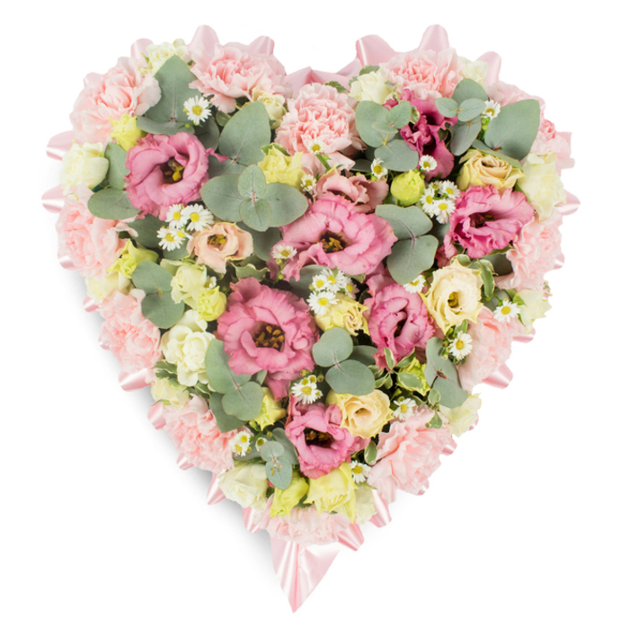 A heart-shaped floral wreath, designed as a tender funeral tribute, lies against a pristine white backdrop, its careful craftsmanship evident in every curve and cluster of petals. Around the outer edge, rows of pale pink carnations create a plush, velvety frame, each frilled bloom gently pressing against the next to form a continuous, rounded outline of the heart. The soft texture of the carnations lends the design a pillow-like softness, as if inviting quiet contemplation. Just inside this floral border, a soft pink satin ribbon follows the heart's contours, its smooth surface contrasting with the ruffled petals. At the top arch and at the lower point of the heart, the ribbon is tied into small, neat bows, their loops and trailing ends adding a refined, almost ceremonial detail. Within this frame, the interior is richly filled with a harmonious mix of pastel flowers. Prominent among them are large pink lisianthus, also known as eustoma, their layered petals swirling in shades from gentle blush to deeper rose, creating focal points of colour and movement. Tucked between these are clusters of creamy yellow and pale ivory spray roses, their smaller, rounded heads adding depth and a warm glow that softens the overall palette. Scattered delicately throughout, tiny white daisy-like flowers with golden centres evoke a fresh, meadow-like charm, reminiscent of wildflowers along the quieter corners of Canonbury's residential streets. Silvery-green eucalyptus leaves with their distinctive oval shape, together with darker green foliage, weave through the blooms to introduce structure, scent, and contrast. The overall composition feels full, peaceful, and embracing, an elegant heart designed to convey love, sympathy, and remembrance at funerals, wakes, or memorial gatherings in and around Canonbury.