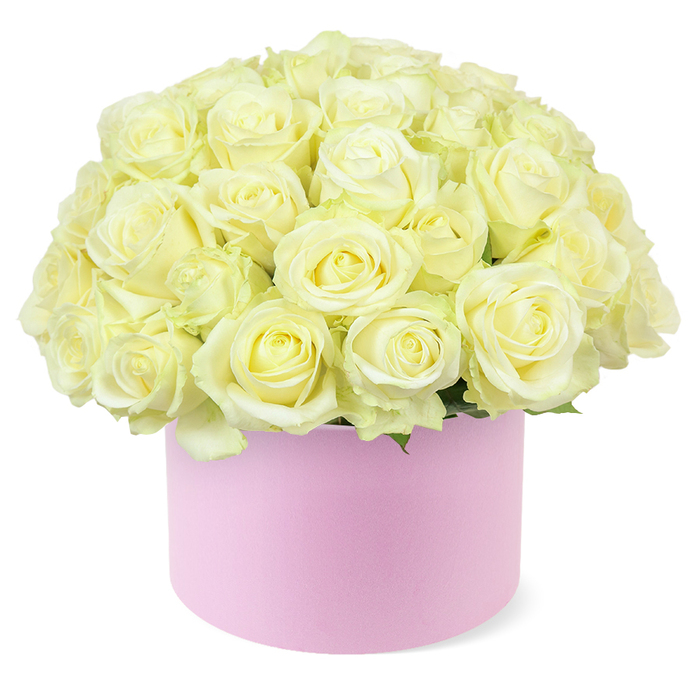 A chic pastel pink hat box is transformed into an opulent anniversary centerpiece, filled to overflowing with a cloud-like dome of white and cream roses. The blooms are placed so closely that their rounded heads touch, forming a seamless canopy of petals that curve gently from the centre outwards. Each flower shows off its own personality: some are fully open, revealing intricate spirals of ivory and soft butter-cream, while others are just beginning to unfurl, their petals cupping inward in a tender, almost shy gesture. The colour palette stays firmly within the realm of subtlety-pale ivory, warm cream, and the most delicate suggestion of pastel yellow deep in the blooms' hearts-evoking quiet luxury rather than overt drama. Just beneath this floral abundance, slender hints of fresh green foliage peek through, a reminder of the natural stems hidden within the box. The container itself, round and gently structured, has a smooth matte surface in a refined blush-pink hue, reminiscent of boutique packaging from an independent Canonbury shop tucked off St Paul's Road. Its simple form and soft colour provide a contemporary counterpoint to the traditional romance of roses, making the arrangement perfectly suited to modern loft spaces and period homes alike across Canonbury and neighbouring Highbury. Set against a flawless white background, this composition allows every petal edge and textural nuance to stand out, inviting the viewer to imagine the cool touch of the petals and the light, comforting fragrance that would fill a room. The overall impression is one of carefully curated elegance-a graceful floral hat box that speaks of lasting affection, thoughtful celebration, and refined taste.