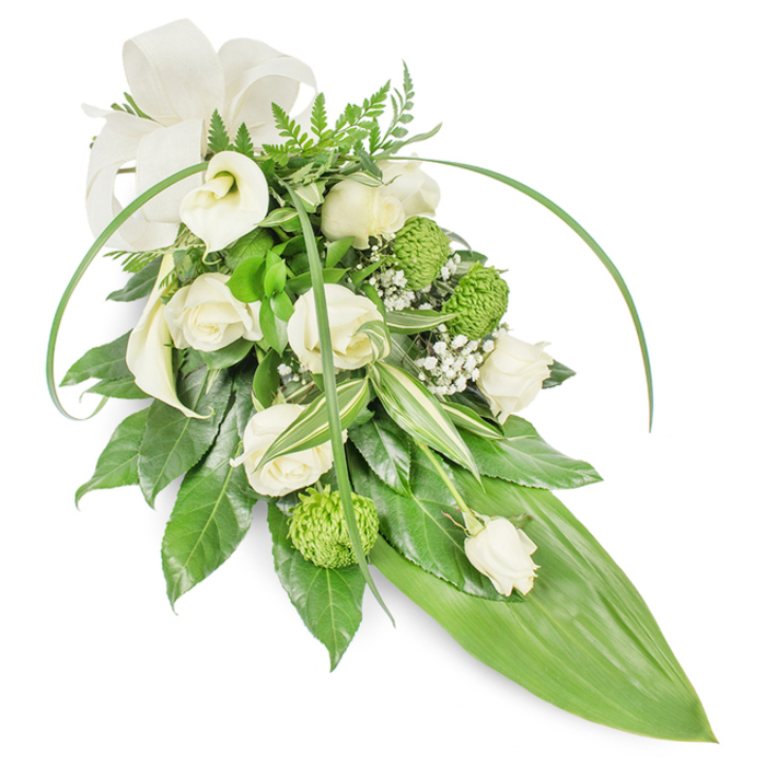 A refined teardrop-style funeral spray, soothing in its white-on-green palette and composed with careful horticultural craftsmanship against a pristine white background. The design features multiple creamy white roses in differing stages of bloom - from tightly furled to fully open with layered, satin-like petals - creating a narrative of time and tenderness. Two sculptural white calla lilies sit toward the upper left, their smooth, trumpet silhouettes imparting a serene, almost ceremonial grace. Scattered among the roses are bright lime-green, button-like chrysanthemums that introduce lively texture and a fresh, contemporary note amid the classical whites. Wisps of baby's breath (Gypsophila) float between stems, giving the spray a soft, ethereal veil that catches light and allows the eye to rest. The foliage orchestration is rich: deep, glossy leaves provide weight and contrast; variegated leaves with crisp green-and-white striping add subtle visual interest; delicate fern fronds soften the crown. Two long, arching blades of vivid green foliage sweep outward to frame the composition, while the entire piece tapers elegantly to a broad, smooth, bright green tropical leaf forming the pointed tail. A tasteful off-white ribbon bow at the top-left offers a comforting, formal touch. This composition reads as a respectful memorial tribute - calm, dignified and thoughtfully balanced - suitable for a funeral or commemorative service and conveyed here with the practiced eye of a professional florist attentive to sentiment and presentation.