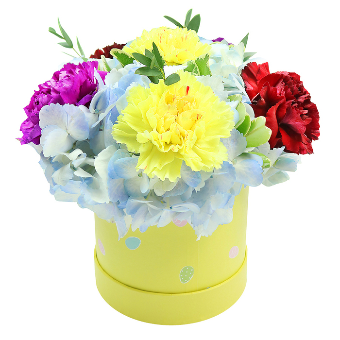 From a slightly elevated viewpoint the floral composition forms a neat, domed silhouette spilling from a round pastel yellow gift box that appears handcrafted and carefully finished. Two large, feathery yellow carnations dominate the centre-each petal edge subtly ruffled and catching diffuse studio light that reveals tiny tonal shifts from pale lemon to deeper saffron at the folds. Surrounding them, abundant clusters of periwinkle-blue hydrangea create a soft, voluminous base: the hydrangea's many small florets combine into a cloud-like mass with occasional hints of white or paler sky-blue on individual petals, lending a refined, almost painterly texture. To the left a saturated magenta or fuchsia carnation adds a crisp, eye-catching accent; to the right a sumptuous burgundy-crimson carnation gives the whole display weight and richness. Narrow stems of green filler foliage are threaded through the arrangement, their slender shapes and fresh green colour providing contrast and a suggestion of garden-fresh scent when handled. The paperboard box is a smooth lemon-yellow cylinder, decorated with irregular pastel polka dots and small egg-like shapes in light blue, blush pink, and pale green, some marked with tiny white speckles-a decorative motif that speaks of springtime celebrations and baby showers. Photographed against white for clarity, the bouquet reads as a premium boxed arrangement ideal for local celebrations: birthdays, anniversaries, or a bright, thoughtful delivery to homes around Canonbury, Upper Street, or nearby Islington roads where this compact, secure presentation holds its form well in transit.