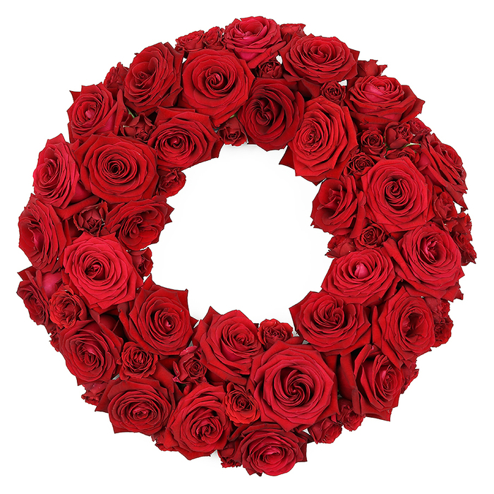 A vibrant, circular wreath stands against a stark white background, assembled entirely from dozens of deep red roses that form a densely packed surface with no greenery showing. The larger, fully opened heads create the main body of the ring, their velvety petals curling into gentle spirals and radiating a saturated ruby hue. Interspersed among them are smaller, partially opened blooms and clusters of miniature blooms that fill gaps and add depth and movement to the arrangement. Every petal is sharply defined, catching light to reveal subtle folds and the silky texture that makes red roses so enduringly dramatic. The hollow center provides a quiet focal point, a deliberate negative space that anchors the composition. The workmanship shows in the seamless attachment of stems, precise interlacing to hold form, and a crisp outer edge that keeps the circle perfectly even. This wreath communicates remembrance, respect, and affection and works beautifully for memorial services, anniversaries, or romantic occasions, particularly when displayed on a doorway or altar in Canonbury and Islington. It travels well with reliable delivery across Canonbury and nearby neighbourhoods, offering a symbol of lasting devotion that remains striking when framed by a simple background or seasonal décor.