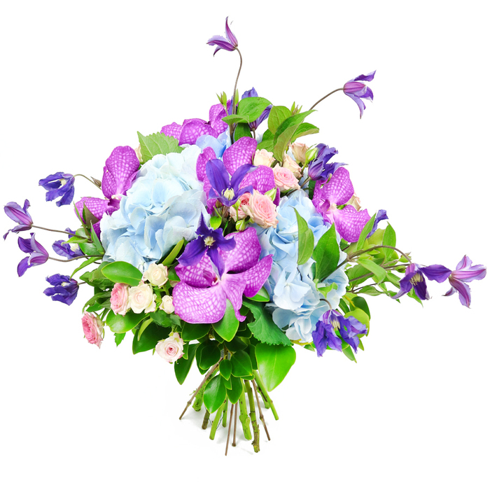 A sumptuous bouquet brimming with cool blues, regal purples, and soft pinks is captured against a bright white background, making every petal appear luminous and freshly arranged by an experienced Canonbury florist. At the centre, generous domes of light sky-blue hydrangea form a plush, cloud-like base, their many tiny petals folding over one another to create a ruffled, tactile surface that suggests abundance and comfort. Draped through this blue softness are vivid orchids in shades of fuchsia and deep purple, likely Vanda or Phalaenopsis, their velvety petals marked with fine speckles and veins that add an exotic, almost couture flair, like jewellery carefully placed within the flowers. From the top and sides, slender stems of deep purple clematis emerge, some blooms star-shaped, others leaning toward a bell-like form, giving the bouquet an elegant height and a hint of wildness, reminiscent of climbing flowers along the garden walls near Canonbury's leafy streets. Nestled intimately among the larger flowers are miniature roses in gentle hues of blush pink and creamy white, their small, layered heads evoking whispers of romance, friendship, and quiet appreciation. Surrounding all of this colour, lush greenery in rich, varied shades of green offers a glossy contrast, filling the spaces between stems and creating a sense of fullness that feels both refined and natural, as if freshly gathered from a well-tended North London garden. The stems are tightly yet gracefully bound at the base, revealing a professional hand that balances structure with a free-flowing, garden-picked style. The bouquet's overall mood is one of elegant celebration and calm joy, perfect for gracing a Canonbury townhouse table, offering comfort to someone recovering nearby, or marking a milestone with a sophisticated burst of floral beauty delivered locally the same day.