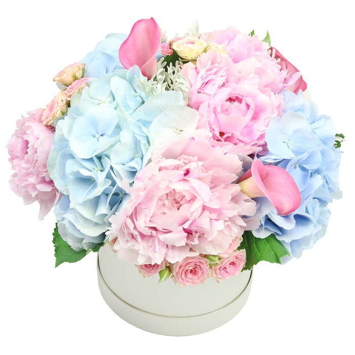 An exquisite, luxurious arrangement sits centrally in a light grey matte round hatbox, photographed against a crisp white backdrop. The palette is pastel pinks and soft baby blues, creating a voluminous, romantic presence. The dominant blooms: large fluffy pink peonies with ruffled petals, paired with generous clusters of pale blue hydrangeas that feel almost cloud-like. Among them, delicate spray roses in cream and blush drift through, their tiny buds adding texture, while two vibrant pink, trumpet-shaped calla lilies rise above the mass, one near the rim and the other peeking lower in the composition. Silvery-green foliage-dusty miller and hydrangea leaves-gives a cool, luxurious frame that enhances depth and light. The arrangement is styled as a rounded dome, suggesting a couture bouquet crafted with precise artistry and quiet confidence.

This refined ensemble would suit weddings, anniversaries, or grand celebrations across Canonbury and Islington, particularly along Upper Street, Canonbury Square, and the green edges of Highbury Fields. It reads as a statement piece for sophisticated events or a thoughtful gift for a milestone moment. The soft fragrance-peony sweetness carried on a faint green note-complements the cooler blues and the blush tones without overpowering a room. For homes in Canonbury and beyond, this box-bouquet offers a modern, elegant aesthetic, easy to place as a centerpiece on a dining table, mantel, or hotel lounge. Canonbury Flowers understands how to blend romance with restraint, delivering freshness and a sense of timeless beauty to customers from Angel to Essex Road, with same-day delivery available across the area.