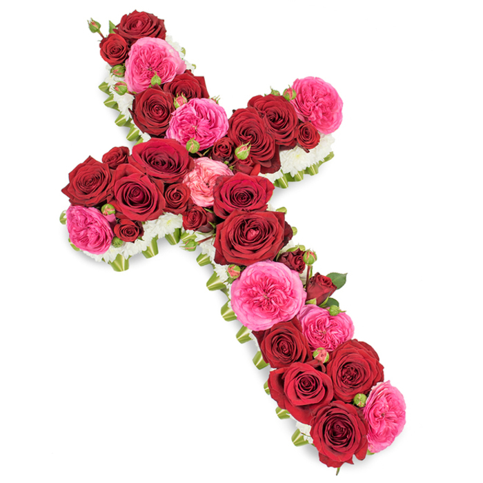Set against a bright, uncluttered white background, this floral cross appears like a carefully painted piece of living art, created as a touching funeral tribute for a loved one. The cross shape is precise and well-proportioned, its entire surface lavishly decorated with roses in shades of deep crimson red and striking fuchsia pink. The larger red roses dominate, each one fully bloomed with densely layered, velvety petals that curl gently outward, creating rich, cup-like forms that convey strength, loyalty, and an unwavering bond. Between these darker blooms, clusters of fuchsia pink roses, reminiscent of garden varieties, bring contrast and a softer, more romantic feeling, their petals slightly frilled and lighter toward the edges. Tiny rosebuds, in both red and pink, emerge here and there, adding depth and an almost three-dimensional effect as they rise slightly above the more open flowers. Around the perimeter of the cross, a narrow frame of petite white blossoms-similar to small chrysanthemums or delicate spray carnations-provides a crisp, clean outline. This border catches the light and gives the impression of a soft white aura surrounding the bolder centre, reinforcing the cross's spiritual symbolism. Tucked beneath the blooms, glimpses of fresh green foliage or fine leafy strands are visible, supporting the structure and hinting at the skilled craftsmanship behind the piece. The overall impression is of a dignified yet tender arrangement, the sort of floral cross that might be ordered from Canonbury Flowers for a service in a local church near Canonbury Square, a quiet farewell in a chapel by Highbury Fields, or a memorial gathering at a nearby crematorium. It communicates solace, remembrance, and a heartfelt farewell through its harmonious colours and sacred form.