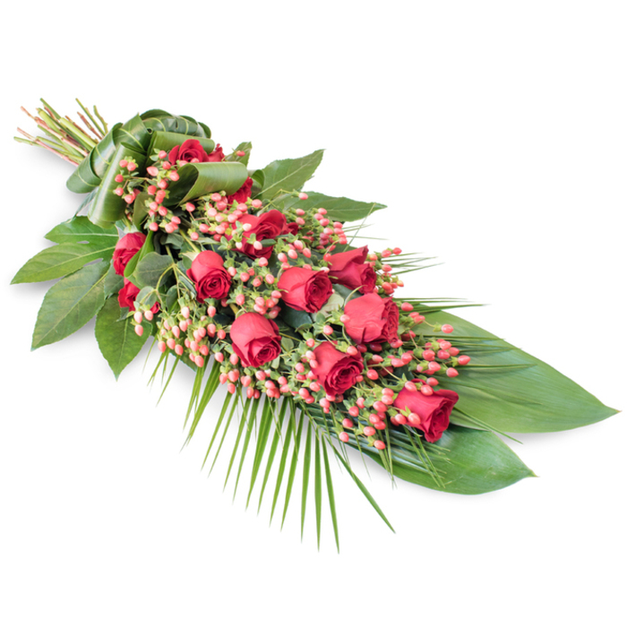 This image shows a beautifully crafted red rose funeral spray, photographed diagonally against a spotless white background that highlights its shape and colour with striking clarity. At the top left, the stems are gathered into a compact bundle and elegantly wrapped in a wide band of deep green leaf, creating a polished handle-like finish that marks the starting point of the design. From there, the flowers cascade along an elongated, slightly curved line, reminiscent of a teardrop or leaf, a form often chosen for respectful tributes delivered across Canonbury and nearby Islington. The heart of the spray is a generous selection of red roses, their velvety petals rich and saturated, ranging from small, tight buds to fuller blooms that reveal soft spirals of crimson. Between these roses, clusters of smooth, berry-like Hypericum in shades of coral-pink and pinkish-red provide a gentle contrast, their rounded forms and lighter colouring adding texture and a more playful note to the otherwise solemn palette. Supporting this floral body is a dense foundation of deep green foliage: broad, glossy leaves likely from Salal or Ruscus overlap like shields, giving weight and depth to the composition. From beneath and around them, long, feathery palm fronds extend outward in arching sweeps, particularly towards the lower right, where they lend a sense of graceful movement, almost like a quiet bow. Fine, slim stems of additional greenery thread through the centre and along the edges, ensuring there are no harsh lines or abrupt gaps. The overall feeling is one of composed grace and tender remembrance, perfectly suited for laying atop a coffin, adorning a chapel rest, or resting beside a memorial table in a Canonbury home as family and friends gather to say their final farewells.