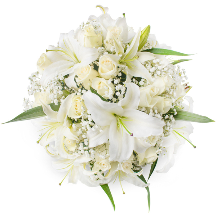 From a top-down perspective against a pure white background, this lush, circular bouquet presents a carefully layered palette of whites and creams. The composition is anchored by several large, showy white lilies-oriental in form-with broad, slightly curved petals and visible pale green stamens that give the centre of each bloom a delicate, botanical contrast. Intermingled are numerous cream-coloured roses, many kept in compact buds or just beginning to open, their soft, velveteen petals forming intimate rosettes that invite touch. Between these primary flowers, fine clusters of white Baby's Breath (Gypsophila) fan out like miniature clouds, their tiny star-shaped flowers creating a filigree that softens transitions and adds intricate detail at close range. A scattering of bright green foliage emerges at the circumference, framing the bouquet and emphasising its symmetrical, dense formation. The light is diffused and neutral, allowing textures to register clearly: the lilies' satiny sheen, the roses' plush surfaces, and the airy, almost featherlike presence of the Gypsophila. Emotionally, the arrangement conveys purity and timeless beauty-qualities suited to weddings held near the Regent's Canal or intimate gatherings in a Canonbury home-and the restraint of the colour story makes it appropriate for both celebratory and contemplative occasions. The visual cues here speak to experienced floral design: rhythm in repetition, contrast of scale, and the gentle use of foliage to define shape without overwhelming the white-on-white harmony.