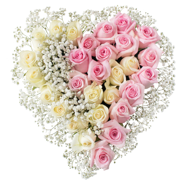 A full, sumptuous heart of flowers fills the frame, its outline crisp against a clean white background that allows every nuance of colour and texture to emerge. The florist has divided the heart straight down the middle, like two equal halves of a shared story. On the left side, creamy white and very soft pale-yellow roses are massed together so closely that their petals form a continuous, velvety surface. Each rose is at that perfect stage of opening when the centre is just visible, the outer petals unfolding in smooth, rounded layers that evoke purity, peace, and quiet affection. On the right, the same dense pattern is repeated with roses in a medium, soft pink shade, their petals coiling in graceful spirals that add warmth and a feeling of tender remembrance. Weaving through both halves, and tracing the outline of the heart, delicate sprays of white baby's breath bring a feather-light texture, their tiny blossom heads catching the light like fine lace or drifted snow. The gypsophila is especially noticeable around the border and along the central division, where it both separates and gently connects the two colours, suggesting the interweaving of memories and emotions. There are no harsh shadows; the bright, even lighting highlights the freshness of every petal and the precision of the arrangement. This design would feel at home as a funeral tribute for a service in Canonbury, perhaps travelling quietly from a family house near Canonbury Road to a local church. It speaks of a life cherished and a farewell given with dignity and grace, a crafted symbol of love that lives on in the hearts of those left behind.
