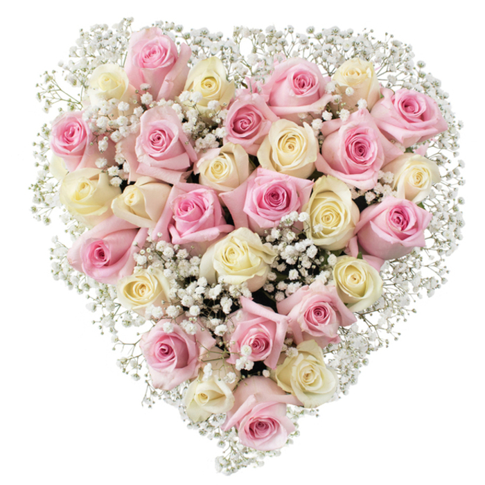 Densely woven and perfectly symmetrical, this heart-shaped floral arrangement is a labour of love from a Canonbury florist. Composed of around thirty to thirty-five roses, it alternates between soft, gentle blush-pink and velvety cream, with some petals tinged toward a warm pastel yellow. Each rose is either budding with promise or fully blossomed, their intricate whorls exploiting every shade and sheen of natural light. Interspersed with abundant, cloud-like baby's breath, the bouquet takes on an airy, uplifting quality, softening the fuller forms of the roses and adding a dreamy contrast. The entire composition is staged against a spotless white background-a nod to modern elegance-making each pastel shade stand out vividly. This piece is frequently chosen by those in Canonbury looking to express heartfelt sentiments during poignant life moments: from romantic gestures to expressions of sympathy, anniversary surprises, or Mother's Day honors. Canonbury Flowers ensures every stem is fresh, and every detail thoughtfully placed, echoing the neighbourhood's reputation for understated beauty and warmth. The arrangement's tender palette and emotional resonance make it an inviting centrepiece, ideal for conveying deep appreciation and gentle comfort in local settings near Islington's leafy lanes.