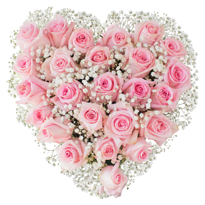 From the perspective of a seasoned Canonbury florist, this heart-shaped bouquet is a study in tenderness and restraint, shown here against a pure white background that makes every nuance of colour and texture visible. Composed primarily of soft pastel pink roses-each one selected for its velvety petals and consistent hue-the composition includes blooms at varying stages, from concise, tightly furled buds to blossoms opening into delicate spirals. The roses sit densely packed, their rounded heads forming a lush, velveteen surface that reads as both abundant and carefully curated. Interspersed throughout are myriad sprays of white baby's breath (Gypsophila), their tiny clustered flowers like drifting clouds that provide a luminous, breathable contrast to the solid mass of roses and help to articulate the heart's contours. The lighting is crisp and natural, accentuating the subtle gradient across petals and the faint shadows that give the arrangement depth, as though displayed in a studio window near Canonbury's Georgian terraces. At Canonbury Flowers we often prepare similar designs for intimate proposals, anniversary deliveries along Upper Street, or serene wedding presentations, mindful of how scent, texture, and shape combine to convey feeling. The bouquet's quiet sweetness - the soft rose perfume, the satiny density of petals, the lace-like gypsophila - suggests deep affection and calm devotion, making it a versatile emblem of love, remembrance, or heartfelt gratitude for those receiving it in the local neighbourhood.
