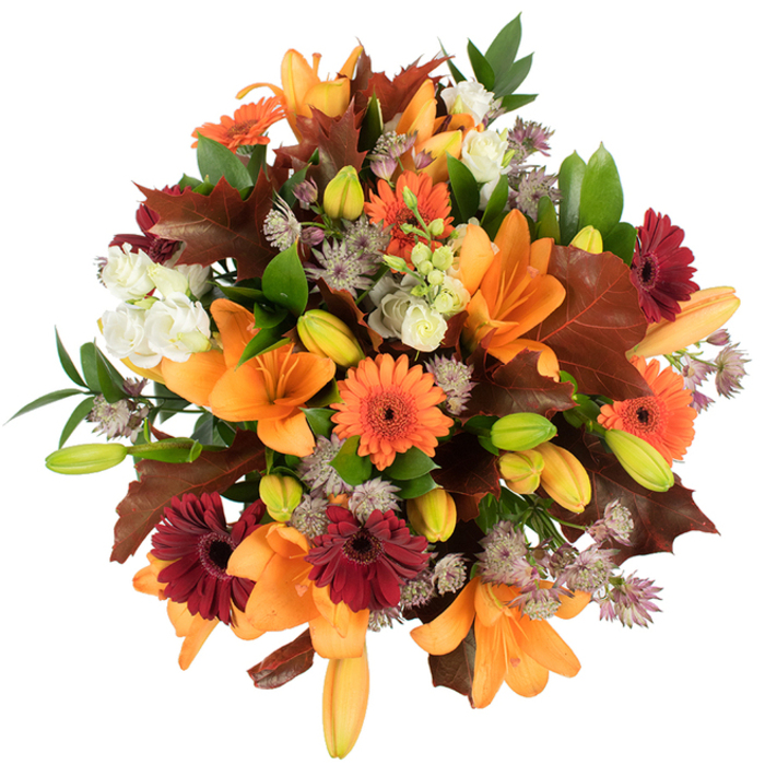 Seen from a slightly elevated viewpoint on a pristine white field, this autumnal bouquet reads like a textured tapestry of warm colour and careful horticultural choice. Several prominent orange Asiatic lilies open broadly at the top of the arrangement, their smooth, glossy petals curling outward in graceful trumpets, while many smaller, tightly closed lily buds in pale orange and bright green create depth and the sense of a bouquet that will continue to evolve. Bright orange and deep burgundy-red Gerbera daisies are placed with deliberate rhythm across the head of the arrangement, each with a dark centre that anchors its sunny petals. Creamy white lisianthus, soft and ruffled, thread between the more vivid flowers and offer a velvety softness; delicate Astrantia in muted purple and grey forms fine, star-like clusters that add an almost architectural intricacy. Reddish-brown, deeply lobed leaves-reminiscent of oak-are artfully positioned to evoke the turning canopy of a Canonbury lane in mid-fall, while fresh green foliage and slim stems lend a lively backbone to the dense bouquet. The composition is tight and lush, professionally balanced to create a full, rounded silhouette that reads both abundant and refined. The bright lighting accentuates the contrasts of colour and texture so the arrangement's seasonal narrative is unmistakable: a harvested warmth suited to Thanksgiving centrepieces, autumn home décor, or as a thoughtful gift to celebrate the turning leaves in nearby Islington parks such as Canonbury Square or the New River Walk.
