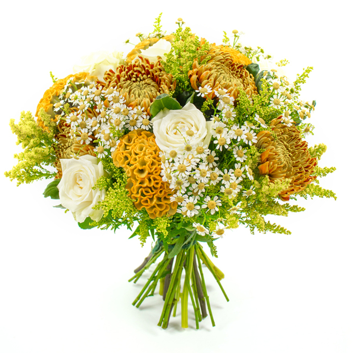 This image shows a richly textured, hand-tied bouquet propped upright against a bright white background, allowing every warm detail of the flowers to stand out clearly. The arrangement is full and rounded, built around several large chrysanthemum heads whose densely layered petals flicker in tones of rusty orange, deep gold, and burnished brown, reminiscent of the mature trees you might walk past on a late-afternoon stroll through nearby Highbury Fields. Tucked among these generous blooms are elegant creamy white roses, their smooth, tightly furled petals spiralling towards soft centres, adding an air of classic refinement to the more rustic textures. One of the most striking elements is the yellow-orange celosia, sometimes called cockscomb, whose plush, velvety ridges fold in on themselves like tiny coral reefs or intricate brain-like forms. These sculptural flowers give the bouquet a touch of modern artistry that local customers of Canonbury Flowers often love for autumn birthdays and dinner parties. Scattered throughout are clusters of tiny white, daisy-like flowers with golden centres, likely matricaria, which introduce a light, meadow-fresh charm, softening the stronger shades and adding a sense of movement. The design is generously padded with feathery sprays of lime-green solidago and an assortment of lush foliage, which frame the warmer colours, build volume, and keep the bouquet feeling vibrant and alive rather than heavy. At the base, the natural stems are cleanly aligned and wrapped in green florist's tape, highlighting the practiced hand that tied them. The overall impression is of a sophisticated autumn arrangement, perfect as a seasonal centrepiece or a thoughtful gesture sent to a loved one in Canonbury, Angel, or the quieter streets off St Paul's Road.