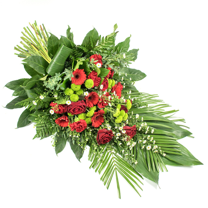 Set against a crisp white backdrop, this elongated sympathy spray stretches diagonally, its refined teardrop outline suggesting both direction and rest, as if guiding the eye toward a moment of reflection. The main body of the design is dense with rich, dark red flowers: classic roses with velvety petals in various stages of bloom, striking red gerbera daisies with darker central eyes, and layered carnations whose ruffled edges add depth and softness. Between these crimson tones, clusters of lime green button chrysanthemums appear like small, glowing beads, their tidy, rounded heads creating a modern contrast and preventing the colour palette from feeling sombre. Sprinkled delicately throughout, tiny white filler flowers-akin to daisies or matricaria-provide flecks of brightness, giving the arrangement a gentle, breathable rhythm. Encircling this interplay of colour is an abundant framework of foliage. Large, glossy leaves reminiscent of salal anchor the flowers, while fine fronds of fern and lighter green textures lengthen the outline. At the lower right, a fan of long, slender palm-style leaves extends outward, accentuating the spray's graceful sweep, as though it has been shaped by a soft wind drifting over Canonbury's quiet residential streets. On the upper left, a cluster of upright stems or leaves adds vertical interest, with one broad leaf artfully wrapped at the base, introducing a sculptural, contemporary touch typical of an experienced local florist. This arrangement would sit beautifully on a casket in a Canonbury or Islington service, or as a standing tribute, conveying heartfelt sympathy, respect, and a sense of dignified beauty for a final farewell.