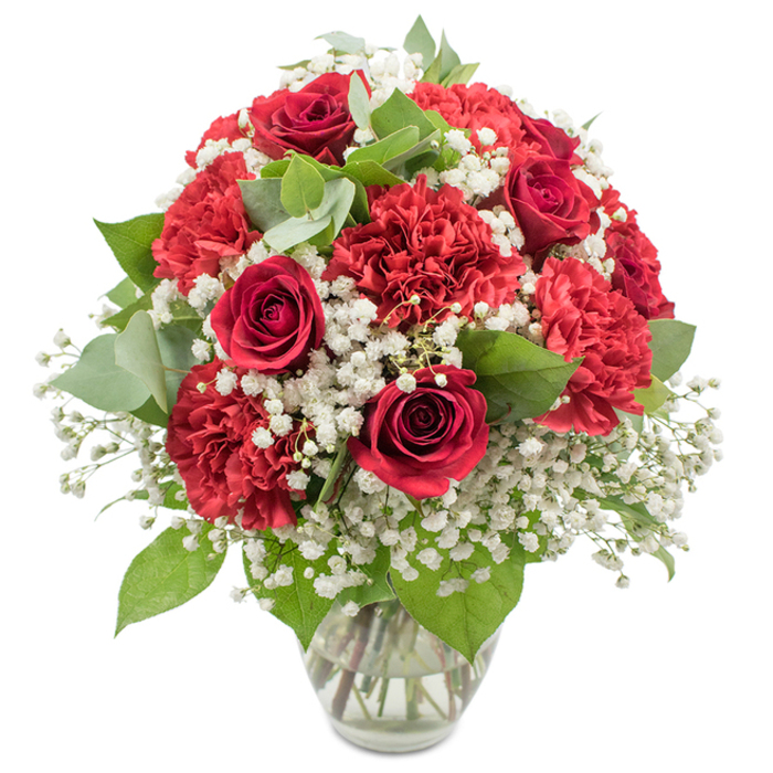 Set against a crisp white studio backdrop, a sumptuous bouquet of red and white flowers rises from a simple clear glass vase, its fullness and symmetry revealing the touch of an expert florist. At the heart of the display, deep red roses cluster together, each bloom showing layers of velvety petals that curl inward in graceful spirals, some still tightly closed, others just beginning to open as though mid-sigh. Around them, abundant red carnations add a different kind of beauty, their many frilled petals creating ripples of crimson that catch the light, making the arrangement feel plush and inviting. Threaded generously throughout the bouquet is white baby's breath, its numerous tiny blossoms forming a soft veil that floats between the roses and carnations, adding both gentle contrast and a sense of lightness so the design seems to breathe. Fresh green foliage forms a subtle framework: eucalyptus with its rounded, silvery-green leaves mingles with the darker, sharper rose leaves, giving depth, texture, and glimpses of natural movement, as if the flowers had just been gathered from a garden off New River Walk. The stems are visible through the vase, neatly trimmed and submerged in clear water, a reassuring sign of freshness for anyone receiving same-day delivery in Canonbury or neighbouring Islington streets. The bouquet is shaped into a balanced, dome-like form that feels generous without being overwhelming, the classic red and white palette evoking romance, affection, and enduring warmth. It is easy to imagine this arrangement gracing a dining table in a Canonbury terrace, a heartfelt anniversary surprise, or a thoughtful gift for someone needing a moment of beauty and comfort.
