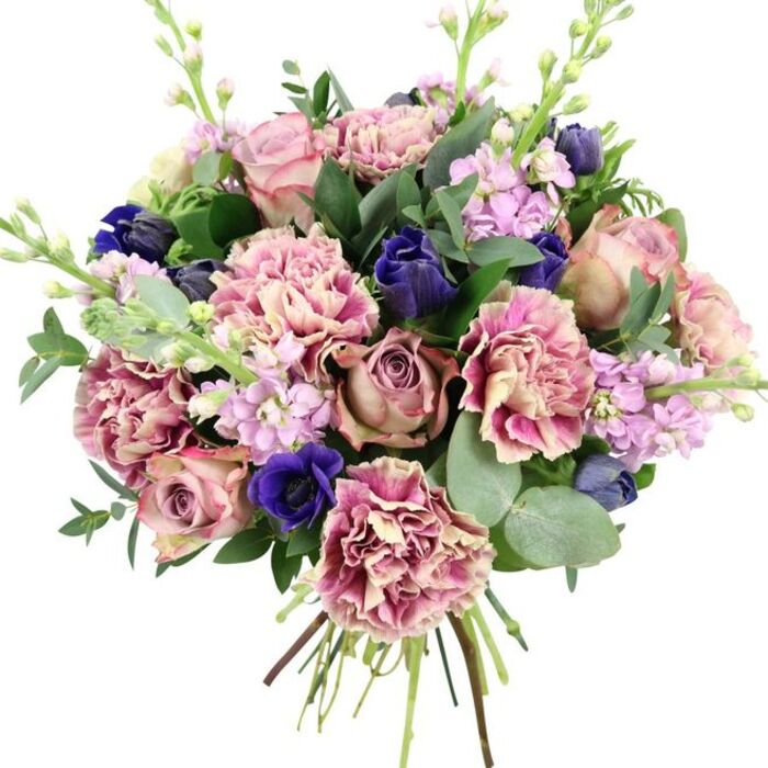 Set against a bright, uncluttered white background, this hand-tied bouquet appears almost sculptural, its colours and textures unfolding in careful layers. At its centre, several large garden roses in shades of blush, dusty rose, and muted mauve open wide, revealing intricate spirals of petals that give the arrangement a romantic, storybook quality. Surrounding them, softly frilled carnations provide generous volume, their ruffled petals moving from warm cream at the base to blush and deeper rose tones along the edges, creating a subtle ombré effect that adds depth from every angle. Threaded through this soft pink landscape are vivid notes of deep indigo and royal blue, most notably a striking open anemone with a dark, velvety centre, supported by other compact, tulip-like buds in the same rich hue. These blue blossoms provide a cool contrast, like the evening sky over Canonbury's tree-lined streets. Wisps of lilac and pale lavender stock extend upward, their slender stems lined with many small, clustered blooms that give the bouquet a feeling of lightness and gentle vertical rhythm. Encircling the flowers, silvery-green eucalyptus with rounded leaves and darker, glossy foliage act as a fresh, natural frame, suggesting both structure and a soothing, aromatic presence. The stems are bound firmly at the base, their clean cut ends exposed, emphasising that this is a freshly made bouquet, ready to be delivered to a home off St Paul's Road or a studio near Canonbury Overground. The palette of pinks, purples, blues, and greens comes together in a design that feels ideal for anniversaries, thank-you gifts, or simply to brighten a quiet corner with understated elegance.
