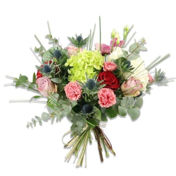 Presented against a pristine white field, this hand-tied arrangement showcases considered contrasts of colour, texture and form. A generous crown of lime-green hydrangea occupies the centre, its multitude of minuscule petals creating a soft, cloud-like mass that both anchors and illuminates the bouquet. Interspersed are several deep red roses, their dense, velvety petals conveying classic elegance, while blush-pink and cream roses open with softer, more delicate contours to soften the composition. Coral-pink carnations - ruffled, layered and cheerful - introduce warm tonal echoes and a lively surface rhythm. The inclusion of Eryngium thistles, in a steely blue-grey, supplies a structural, slightly wild element: their spiky, sculptural heads contrast with the rounder blooms and invite the eye to travel. Foliage plays a major supporting role, with broad, silvery-green eucalyptus leaves offering aroma and visual calm, and slender upright blades or filler grasses providing vertical lift and breathability to the silhouette. The bouquet is hand-gathered and secured at the base with natural twine, the cut stems visible and fresh, speaking to careful craftsmanship. In daylight the colours read crisply - greens, reds, pinks and cool blues - and the arrangement would function beautifully as a centrepiece for a dining table, a thoughtful gift for a milestone, or a bright, contemporary accent in a Canonbury flat overlooking the square. The overall tone blends tradition with a modern, garden-inspired ease, suggesting affection, celebration and attentive care.