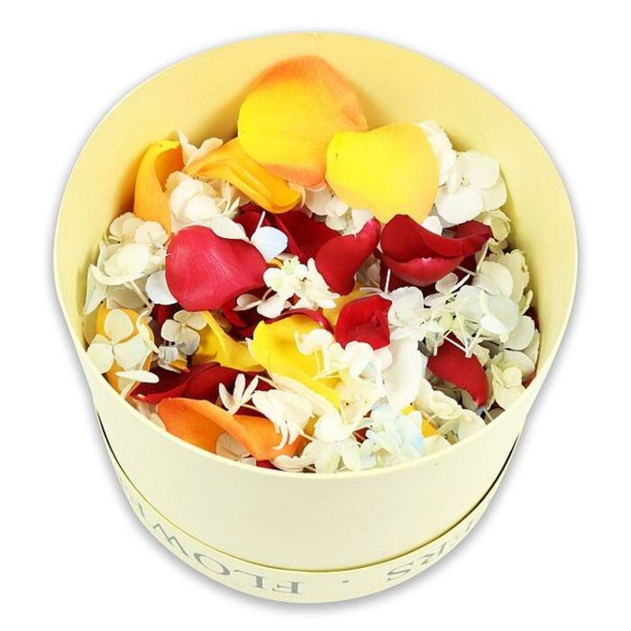 The photograph focuses on a single pale cream cylindrical box, delicately styled as a florist's hatbox and set against a crisp, white background that lets every petal and floret be clearly seen. The box, softly tinted in a light butter-cream or off-white hue, has the word FLOWERS faintly embossed in graceful lettering near the rim, hinting at the crafted nature of the tribute. From a slightly overhead angle, the viewer looks down into a lush, gently domed abundance of dried flower petals, so full that they appear to be on the verge of spilling over, like an armful of memories gathered from gardens around Canonbury and preserved with care. At the heart of the blend are deep crimson rose petals, velvety and rich, their curved edges and subtle shadows evoking love, remembrance, and solemn affection. These are interwoven with vivid yellow and warm peach-orange petals, slightly lighter in texture and softly crinkled, adding warmth and quiet optimism, as if to offer a small ray of comfort on a difficult day. Scattered between them are delicate clusters of tiny white hydrangea-like florets, some touched with a whisper of pale blue; their fine, papery petals create a soft, cloudlike layer that brings airiness and gentle contrast. The composition feels harmonious and intentional, the colours balanced so no single tone overwhelms the others. This natural confetti of petals is perfectly suited for funeral tributes: to sprinkle around an urn, border a framed photograph at a remembrance gathering, or be shared among family and friends at a service in Canonbury. The image communicates a sense of handcrafted dignity, offering a beautiful, sustainable way to honour a life with flowers that feel both personal and timeless.