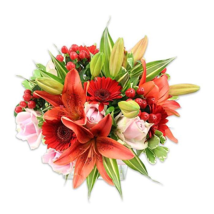 Against a bright white studio backdrop this dense, rounded bouquet reads like a study in warm chroma and tactile contrast, hand-composed with an experienced eye. The focal lilies are a striking orange-red - Asiatic in character - some with speckled throats and recurved petals that reveal dark stamens and anthers, giving a hint of drama and depth. Scattered between these are vivid red Gerbera daisies whose many slender petals create cheerful, fan-like faces, and pale blush roses that soften the overall palette with their layered, velveteen petals moving from tight buds to open rosettes. Glossy clusters of red hypericum berries sit low and high in the arrangement, their round, waxy texture playing against the softer surfaces of petals. A generous selection of foliage - including broad, deep-green leaves and a few variegated sprigs with lighter green and cream streaking - frames the flowers and adds dimensionality, while several unopened lily buds promise evolving beauty over days. The lighting is clear and flattering, allowing subtle shadow to define form and show the bouquet's meticulous layering; close by one would sense the sweet warmth of roses mingled with the distinctive, slightly spicy perfume of lilies. This arrangement feels right for marking warm celebrations - anniversaries, birthdays or housewarmings - and would sit beautifully on a table in a Canonbury home near Newington Green or De Beauvoir, reflecting the neighbourhood's blend of historic charm and modern colour sensibility.