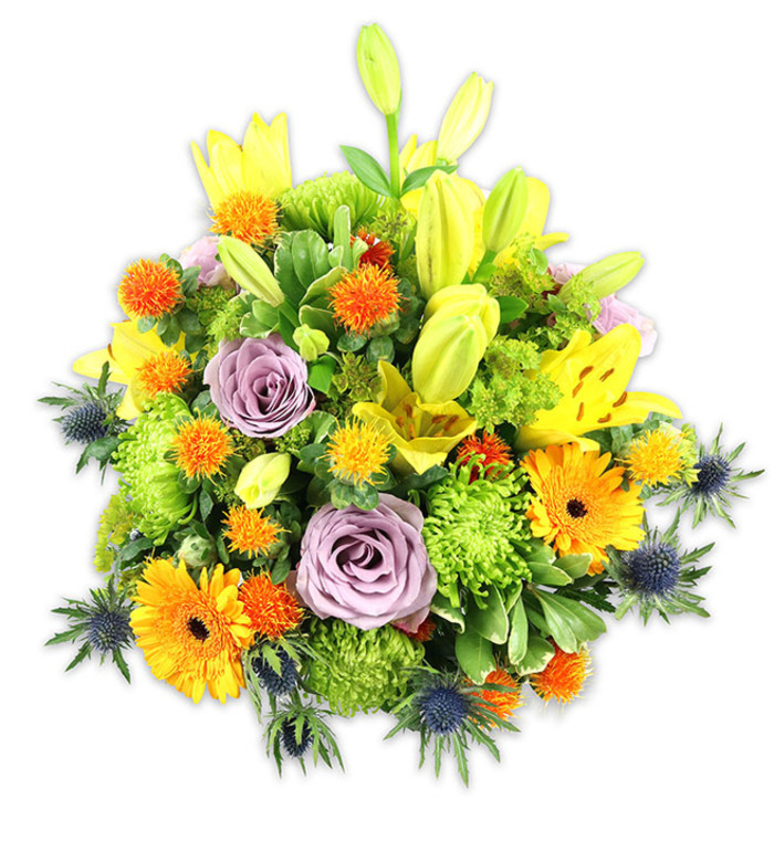Presented against a stark white background, this abundant, hand-arranged bouquet reads like a small celebration captured in floral form, the kind of piece a neighbourhood florist might prepare for a gathering at a Canonbury home. Radiant yellow Asiatic lilies form vertical accents-some blossoms fully open with freckled inner petals and visible anthers, others as long, hopeful buds that lift the eye upward-while large orange Gerbera daisies fan their flat petals outward from darker centres, offering bold, sun-like focal points. Two or three pale lavender roses are tucked into the central plane, their gently unfurling spirals providing a soothing, classic contrast to the more exuberant elements. Pockets of lime-green button chrysanthemums create textured, cushiony volumes that make the bouquet feel generous and tactile. Scattered among the foliage are little spherical orange and golden-yellow accent blooms-Craspedia-like or small pompon florets-that introduce playful dots of colour and a slightly prickly texture. The arrangement's cool counterpoint comes from several blue-grey Eryngium thistles, their spiky bracts adding rustic, almost architectural detail along the sides and lower edges. A thoughtful assortment of leaves-broad lily foliage, glossy filler leaves and slender green sprays-binds the composition, providing depth and a natural, garden-fresh backdrop. In soft daylight the flowers' colours sing together, conveying warmth, optimism and composure; ideal for a birthday on a sunny weekend, a cheerful get-well bouquet, or an elegant centerpiece for a small dinner in an Islington townhouse near Compton Terrace or Canonbury Square.