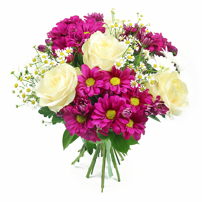 A lush, mixed bouquet is presented against a spotless white background, the simplicity of the setting ensuring the flowers themselves take centre stage, much like a carefully composed display in a Canonbury Flowers shop window. The arrangement is full and rounded, with four prominent roses in creamy white and pale yellow forming soft focal points throughout the design. Their velvety petals spiral gracefully inward, each bloom opening wide to showcase a timeless, romantic form. Interwoven around these roses are abundant fuchsia-magenta chrysanthemums, their petal-rich heads slightly ruffled, surrounding vivid yellow-green centres that glow with cheerful intensity. Delicate sprays of small white daisies, likely feverfew or a similar filler flower, thread through the bouquet, each tiny blossom consisting of slim white petals and a clear yellow eye, adding an airy, garden-fresh lightness and a charming, almost wildflower feel. A few deeper-toned chrysanthemum buds in purple-pink nestle between the open blooms, giving the composition subtle depth and the suggestion of ongoing life and growth. Lush, dark green foliage, including classic rose leaves and broader chrysanthemum greens, forms a natural backdrop, outlining the bouquet's rounded silhouette and enhancing the vibrancy of its colours. All the stems are aligned and tightly gathered at the base, then wrapped with a green and white gingham ribbon that is both practical and decorative, hinting at a hand-crafted piece ready for same-day delivery across Canonbury and nearby Islington streets. The lighting is bright and even, casting gentle shadows that highlight individual petals and leaves, and the overall impression is of a joyful, celebratory bouquet ideal for birthdays, thank-you gifts, or simply bringing a burst of colour and tenderness into a Canonbury home.