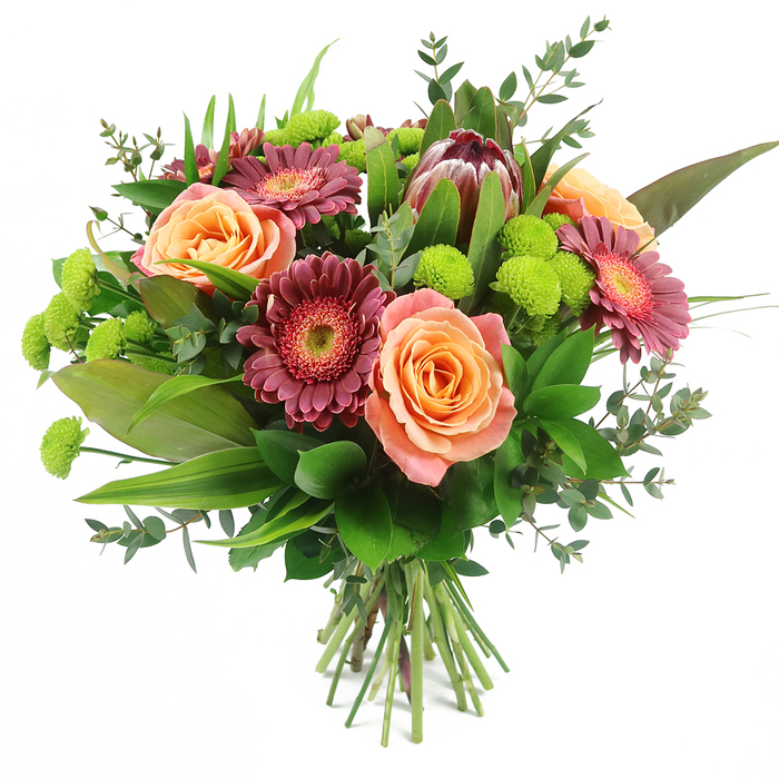 Against a bright, uncluttered white background, this abundant bouquet appears as though it has just arrived from a skilled Canonbury florist, ready to fill a room with colour and texture. At the centre, several large roses unfold in tones of peach, apricot, and soft salmon, their velvety petals layered in generous spirals that gradually loosen towards the edges, giving each bloom a sense of gentle movement. Some petals are tinged with cream near the tips, while others deepen towards a warm orange glow in the middle, creating a subtle gradient that suggests warmth and affection. Framing and complementing these roses are Gerbera daisies in deep magenta and burgundy, their softly pointed petals forming circular halos around lighter, textured central disks, adding visual rhythm and a touch of drama. Standing out among the softer forms is a striking King Protea bloom, positioned slightly above the main cluster; its artichoke-like bracts, shaded from maroon to mauve-pink with pointed, slightly spiky tips, give the composition a sculptural, contemporary edge that feels right at home near the stylish streets of Canonbury and Islington. Bright lime-green Santini chrysanthemums are scattered throughout, their tidy, button-like flower heads adding playful flashes of colour and a compact, tactile texture that contrasts beautifully with the broader petals around them. A collar of mixed foliage encircles the florals: broad, glossy leaves anchor the base, while long, slender, grass-like blades punctuate the height, and rounded eucalyptus leaves in silvery tones lend a gentle, aromatic feel. The stems are gathered neatly in a classic hand-tied fashion, clearly visible at the base and ready to slip into a vase in a Canonbury flat or period home. The bouquet conveys an air of joyful elegance, ideal for marking special occasions or sending thoughtful wishes with local flower delivery.