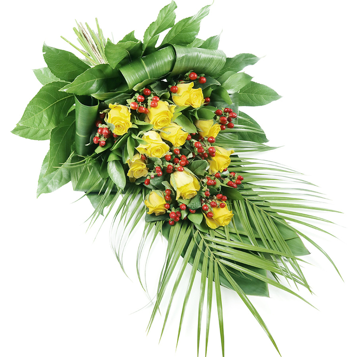 A refined funeral spray of yellow roses and red berries is laid out against a crisp white backdrop, the neutral setting highlighting its shape and colour. The arrangement stretches in an elongated line from the upper left to the lower right, formed in a tapered, teardrop style that naturally draws the eye along its length, much like following the quiet curve of a path through Canonbury's residential streets. At the centre of the design, approximately fifteen to twenty sunny yellow roses take pride of place. Some blooms are just beginning to open, with petals still cupped closely together, while others are fully expanded, revealing generous, velvety whorls of golden petals. They sit close together, creating a warm, radiant core that feels both hopeful and comforting. Interspersed throughout are small clusters of bright red, bead-like berries, likely Hypericum, their shiny surfaces and rich colour offering a striking counterpoint to the softness of the roses. Surrounding this core is a carefully structured framework of foliage. Towards the top and upper left, broad, dark green leaves are layered and folded, forming a substantial base that anchors the piece and conveys quiet strength. From the lower right, several long, palm-like fronds extend outward, their narrow, pointed leaflets spreading in a gentle fan that adds lightness and movement. The mixed greenery, ranging from deep emerald to more vivid green tones, gives the spray depth and a natural, garden-like feel, as if gathered from the well-kept planting of nearby Canonbury squares. This elegant composition would sit beautifully at a funeral service or graveside, a graceful tribute expressing respect, remembrance, and gentle consolation.