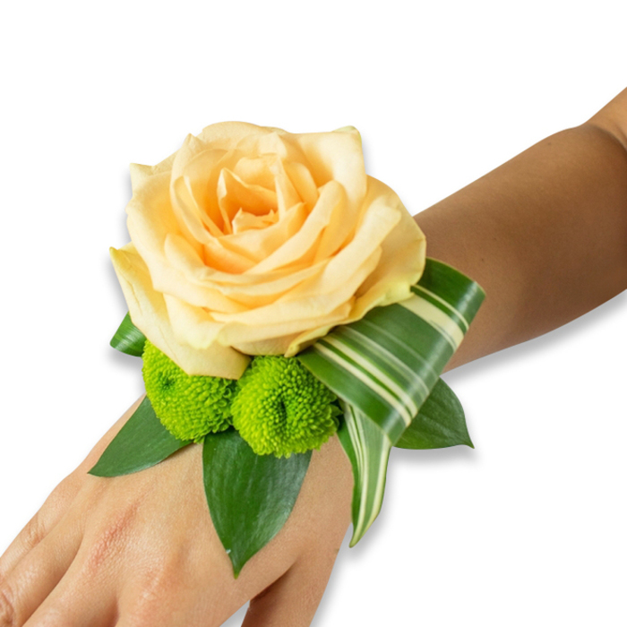 Set against a bright white backdrop, a carefully arranged wrist corsage lies across a warm, light-to-medium brown wrist, the skin's tone bringing out the peachy-pale rose at its centre. The rose unfurls in layered petals of soft champagne-peach, each fold catching light and creating subtle shadows that emphasise its velvety surface and classic form. Below it, two lime-green button chrysanthemums-compact, almost perfectly rounded pom-poms-sit close to the rose, their tightly packed florets creating a playful, tactile contrast and a vivacious pop of colour. Surrounding the blooms is an assortment of deep green foliage; broad, glossy leaves like salal or ruscus create a lush cushion and provide visual depth. A distinctive variegated leaf, edged and streaked in cream and green, is folded into an elegant curve that frames the composition and extends toward the hand, adding an architectural, modern flourish.
Imagined for ceremonies in and around Canonbury-perhaps a wedding photographed near bottleshop-lined Upper Street or a prom send-off on Newington Green-this wristlet smells faintly of rose warmed by skin and the green freshness of foliage. The fastening is discreet and likely elastic-backed beneath the leaves, keeping attention on the floral artistry. The overall effect is poised and celebratory, marrying soft romantic colour with contemporary structure; it reads as refined yet approachable, an ideal accessory for formal occasions or intimate gatherings in Islington's leafy corners, reflecting local sensibility and skilled floral handiwork.