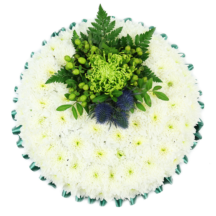 This image shows a meticulously crafted circular sympathy wreath viewed from directly overhead, set against a clean, white studio background that lets every detail stand out clearly. The main body of the tribute is a smooth cushion of white spray chrysanthemums, their countless small blooms pressed closely together so the surface looks almost like soft fabric. Each chrysanthemum has many fine petals, forming tiny rosettes that blur into one another, and their pale green centres give a subtle depth and a touch of life to the expanse of white. Encircling the outer edge is a pleated band of deep emerald green satin ribbon, folded into regular scallops that create a gentle ripple all the way around the design. The ribbon's sheen adds a refined, almost ceremonial feel, and its rich colour provides a crisp border that gently anchors the arrangement. Set slightly above the central axis is a striking cluster of flowers and foliage that serves as the focal point. At its heart is a bright lime-green spider chrysanthemum, its long, slim petals splaying outward like a firework frozen in time. Gathered around it are glossy green Hypericum berries, compact green button mums, and layered fronds of dark green fern and other leaves, building a lush, textural mound of foliage. Nestled within this greenery are two rounded Scottish thistles, their spiky forms tinted in dusty blue-violet, adding a strong structural accent and a nod to Scottish identity. The composition feels calm, respectful, and personal, the sort of carefully considered funeral tribute a Canonbury family might choose for a memorial near Upper Street, bringing a touch of natural beauty and symbolic meaning to a final farewell.