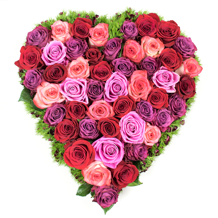 From an overhead vantage the heart shape reads with absolute clarity: every inch packed with fresh, fully opened roses that together create a luxuriant, textured surface. The colour arrangement is intentionally varied yet harmonious - deep scarlets and burgundy anchor the design, while bands of blush pink, coral, fuchsia and soft lavender weave through, and richer plum tones add shadowed contrast. Each bloom displays soft, velvety petals with gently curled edges; the mix of tightly furled centers and wide-open rosettes gives the piece a living, breathing rhythm. Encircling the heart is a narrow border of fine, springy dark green foliage, reminiscent of maidenhair fern or a mossy underlay, which both defines the silhouette and offers a cool counterpoint to the warm flower tones against the clean white background.

The lighting is gentle and diffuse, picking out the sheen of petals and the delicate shadows that lend dimensionality. The overall effect is both intimate and formal - suitable for weddings and anniversaries as much as for a dignified funeral tribute. I think of arranging something like this for a client near Upper Street or Chapel Market, pausing to sample the faint, heady perfume of roses while trimming stems. The craftsmanship is evident in the seamless colour transitions and the meticulous filling of the heart, a gesture that speaks to deep affection, remembrance, and the quiet eloquence of flowers.