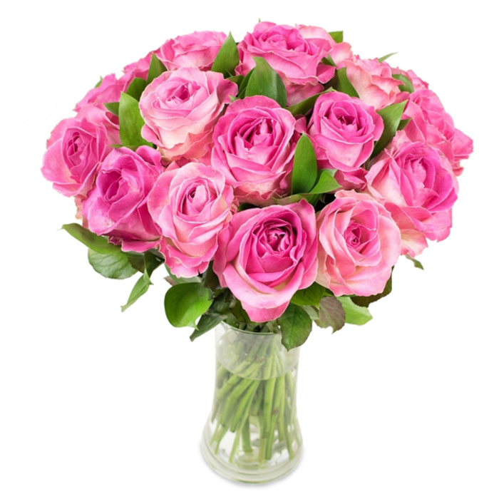 A striking, full-bodied display of near two dozen pink roses is captured against a clean white backdrop, each bloom arranged to create a lush, rounded silhouette that reads as both intimate and celebratory. The petals show a delicate ombré: deeper fuchsia and magenta tones concentrated toward the spiral centers, graduating outward into pale blush and occasionally creamy white on the outermost petals. The roses are closely gathered so that their forms nestle into one another, and dark green, waxy leaves emerge between and beneath the blossoms to add structure and a fresh, leafy perfume to the composition. The bouquet is set in a transparent glass vase with a softly curved profile - slightly cinched in the middle and opening out at the rim and base - allowing a clear view of the trimmed, green stems submerged in pure water, which reinforces the sense of recent cutting and careful conditioning. Even, bright lighting accentuates the satiny sheen of the petals and the crisp edges of each fold, so that one can almost sense the velvet texture beneath a fingertip. The overall mood is tender and assured, suitable for anniversaries, heartfelt thank-yous, or as an elegant wedding table accent. As a local florist familiar with deliveries to Canonbury Square, St Paul's Road and the surrounding Islington streets, I appreciate how this composition balances striking colour with composure, offering a timeless floral statement that reads as both craft and devotion.