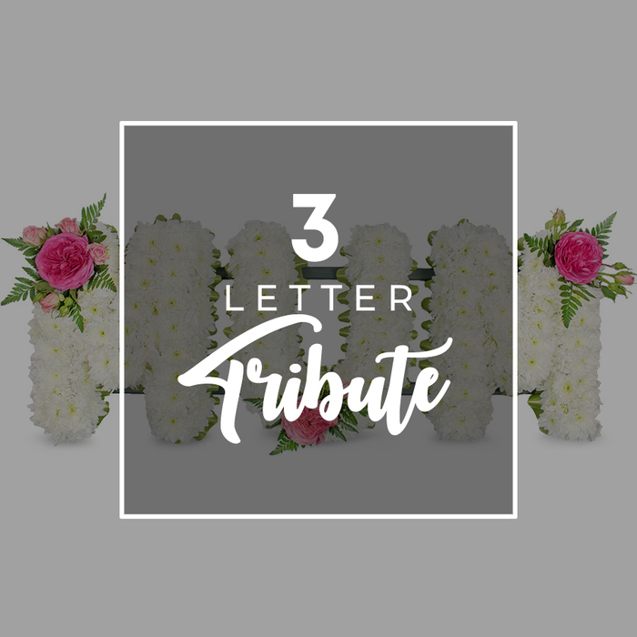 A tastefully lit scene on a soft grey backdrop showcases a three-letter floral tribute, carefully designed for a funeral or memorial and presented within a bright white rectangular frame at the centre of the image. Inside this frame, the word MOM is sculpted from masses of pristine white chrysanthemum blooms, each flower head closely nestled to its neighbour so that no gaps interrupt the smooth, cloud-like surface. The chrysanthemums give the letters a cushioned, almost quilted effect, evoking comfort and gentleness, qualities often sought in sympathy designs commissioned by families around Canonbury and Upper Street. The first M is embellished at its upper left arm with a striking floral accent: a richly coloured fuchsia garden rose fully unfurled, surrounded by several paler pink rosebuds in different stages of bloom. These buds, with their softly curved petals, add a sense of unfolding memory. Wisps of green fern foliage arc around them, introducing light texture and a natural woodland feel. The central O, circular and complete, carries a single, dainty pink rose carefully placed at its base, a small but poignant detail that reads like a quiet kiss goodbye. The second M echoes the design of the first, with the same arrangement of a vivid pink rose, blush-toned buds, and fern leaves positioned on its upper right side, visually linking the letters and framing the O at the centre. Superimposed over this composition, still within the white frame, is clear white typography: a large numeral 3 at the top, LETTER in a tidy sans-serif line below, and Tribute written underneath in graceful script, identifying the piece as a three-letter tribute. To either side, beyond the frame, the cropped edges of additional chrysanthemum letters appear, accented with matching pink roses and greenery, hinting at longer names and words that might be arranged along a church aisle, crematorium chapel, or family home in the Canonbury area.
