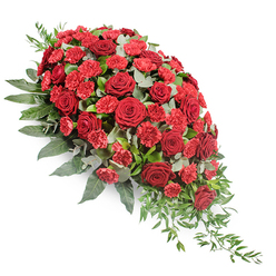 A substantial red funeral spray is arranged in a sweeping teardrop form, wide and full at the upper left and narrowing to a soft, trailing point at the lower right, shown clearly against a crisp white background. Deep red roses, their petals velvety and unfurled in perfect concentric layers, form the emotional core of the tribute, their sombre richness symbolising devotion and remembrance. Nestled among them are clusters of bright red spray carnations, each tiny bloom made up of finely fringed petals that lend a gentle, fluttering texture, like quiet murmurs of comfort. Surrounding and supporting the blooms, an abundance of mixed foliage adds depth and natural rhythm. Large, dark green leaves create a strong, steady base, reminiscent of the mature greenery that lines the streets around Canonbury station, while clusters of rounded, silvery eucalyptus leaves weave through the design, bringing a misty softness and a suggestion of calm. Slender stems of lighter green foliage extend away from the body of the spray, particularly along the lower-right edge, where they trail delicately and give the arrangement a sense of movement and tender release. The interplay of rich red tones against the varied greens creates a balanced and contemplative composition, perfectly suited for a casket top or to rest by a chapel window. Crafted with the sensitivity of an experienced Canonbury florist, this large sympathy arrangement feels like a quiet embrace, offering solace to family and friends during a funeral or memorial service and evoking the stillness of an early morning walk through nearby parks.