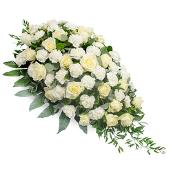 Set against a spotless white background, this elegant funeral spray is arranged in a sweeping crescent that feels both structured and natural, reminiscent of the gentle curves of Canonbury's Georgian terraces. The composition begins at the top left with a generously mounded cluster of white and cream roses, their petals layered in tight spirals and open cups, some blooms just beginning to loosen while others are at their fullest, softened peak. Nestled between them, frilled white carnations add a delicate, almost feathery texture, giving depth to the design and creating subtle shadows where petals overlap. Surrounding and weaving through the flowers, eucalyptus leaves in a muted silvery green provide a cool contrast to the warm creams, while darker green ruscus extends outward in elegant arcs. These longer stems trail towards the lower right, emphasising the spray's tear-drop silhouette and suggesting a gentle downward flow, like a slow, thoughtful procession. The spray rests as if on air, its stems hidden, so that only the blooms and foliage are visible, forming a quiet island of white and green. Every element appears freshly cut, the kind of quality you would expect from a Canonbury florist preparing arrangements for a local service or memorial gathering. The overall mood is hushed and reverent, with the all-white palette symbolising innocence, respect, and a peaceful farewell. This is the kind of tribute chosen to honour a life with grace, offered in sympathy to a grieving family as a visual expression of support, gratitude, and enduring memory.