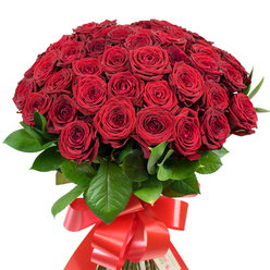 A lavish dome of fifty-plus richly crimson red roses forms the centrepiece of this spectacular bouquet, embodying both classic elegance and bold contemporary flair. Each velvety bloom is so perfectly sculpted its tightly furled heart seems ready to unfurl, showing off graceful, layered petals that catch the light in subtle, shifting tones from ruby to merlot. The roses are closely bunched, forming a plush cushion of vivid colour that stands out strikingly against a pristine white background-much like the rose beds found in Canonbury's leafy squares. The dark, glossy green foliage peeks invitingly between the flowers, adding a sumptuous thickness and natural depth. At the base, the stems are expertly gathered and wrapped in a wide, lustrous red satin ribbon tied into a generous bow with trailing ribbons, a touch reminiscent of celebratory evenings in the heart of Islington. This bouquet radiates warmth, romance, and heartfelt sentiment-ideal for marking an anniversary, declaring love, or conveying appreciation on a special day. As you imagine touching the bouquet, the texture is luxuriously soft; the imagined scent recalls summer gardens in Canonbury Park. The design reflects the skill and passion of Canonbury's local florists, creating not just a gift but a striking centrepiece that delivers beauty, freshness, and emotion to lives across the community.