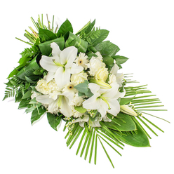 A graceful sympathy spray in shades of white and green is displayed diagonally against a stark white backdrop, its soft blooms and strong foliage forming a calm, flowing line. Dominating the centre are white Oriental lilies, some fully opened with velvety petals curving back to expose pale stamens, others still held in smooth, elongated buds that promise future blossoms. Clustered closely around them, white roses at various stages of opening mingle with frilled carnations and flat-faced Gerbera-type daisies, their creamy centres adding a touch of warmth to the otherwise cool palette. Sprinkled throughout are tiny white filler flowers that lend a delicate, mist-like effect, filling small gaps without crowding the main stems. Surrounding this central heart of flowers, glossy dark green leaves, airy fern fronds, and the rounded discs of eucalyptus create layers of texture and shifting green tones. Near the top, long linear leaves are carefully wrapped and tied into gentle arcs, drawing the eye upward, while from the lower right corner, multiple slender palm fronds fan outward, giving the arrangement its distinctive sweeping, asymmetrical profile. The spray feels both structured and natural, like something carefully placed yet effortlessly at home in a quiet Canonbury side street or near the green calm of Highbury Fields. Designed as a one-sided display, it seems ready to rest along a coffin, easel, or memorial table, conveying respect, remembrance, and a sense of stillness that supports families gathering for a funeral or memorial service in the local area.