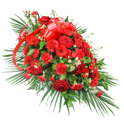 This image shows a grand red funeral spray set against a clean white backdrop, its elongated, one-sided form flowing diagonally as if arranged to rest along a casket or at the foot of a memorial. The centre is densely packed with deep red roses, their velvety petals spiralling tightly in some blooms and opening generously in others, giving a sense of life, continuity, and emotional depth. Interwoven with the roses are rich red carnations, their softly frilled heads catching the light and providing a plush, almost fabric-like texture, while red gerbera daisies punctuate the design with their strong, open faces and dark central discs. Here and there, fine clusters of tiny white blossoms, possibly baby's breath or small chrysanthemums, float between the red flowers like soft stars, adding delicate brightness and visual breathing space. The spray is wrapped in abundant green foliage: long palm fronds stretch dramatically outward from the base and sides, creating a fan-like frame, while darker, denser leaves fill the centre and edges to create volume and structure. Near the upper section, a wide red satin ribbon has been fashioned into a full, ceremonial bow, with sleek, glossy tails that weave quietly through the canopy of blooms, reinforcing the rich red palette and a sense of formal tribute. Crafted in a style often chosen for funerals and remembrance services around Canonbury churches and nearby Islington chapels, this arrangement radiates dignity, respect, and passionate remembrance, evoking the calm of tree-lined streets and quiet local gardens where memories linger softly.