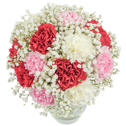 There's a quiet poetry to this floral arrangement-a bouquet crafted by the hands of Canonbury's local florists, whose skill shapes blooms into moments of joy. In a perfectly clear, round glass vase, velvety carnations unfold with lush fullness in a trio of hues: passionate reds, soft pastel pinks, and clean, creamy whites. Their ruffled petals, layered like the folds of silk, ripple towards the viewer, reflecting the natural light that dances across the arrangement's surface. Interlaced throughout is an abundance of pure white baby's breath, their tiny, airy blossoms floating like wisps of cloud around the heart of the bouquet. The overall composition achieves a near-spherical fullness, reminiscent of the classic designs witnessed at Canonbury's community gatherings or admired in homes near Highbury Fields. The transparent vase reveals submerged green stems crossing in fresh water, anchoring the display in both beauty and life. Photographed on a crisp white background, the bouquet's vivid colours are heightened, each bloom promising freshness and thoughtful care. Such an arrangement radiates a sense of grace and refined celebration, ideal for expressing gratitude, love, or congratulations. Whether delivered to a garden flat near Canonbury Square or presented as a centrepiece for a family milestone, this arrangement captures gentle luxury and a spirit of heartfelt connection that defines local gifting in Canonbury.