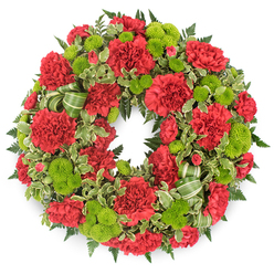 A traditional round funeral wreath, completely covered in rich red and bright green blooms, is photographed against a stark white backdrop so that every detail of the floral work is crisply visible. The ring is generously filled with deep red carnations, their petals layered and frilled like soft fabric, creating a sense of volume and comforting texture. Some of the carnations are open and expansive, others are slightly smaller and more cupped, which gives the wreath a natural, living rhythm rather than a rigid formality. Nestled between the red flowers are lime green button chrysanthemums, compact and globe-shaped, their tiny packed florets forming smooth domes of colour. Their lively chartreuse tone provides a striking contrast, lighting up the wreath and suggesting hope amid sorrow. Beneath and around the blooms, mixed greenery creates a lush foundation: darker fern fronds spread out in fine, feathery patterns, while variegated pittosporum leaves introduce cream-edged highlights that dance around the circumference. A decorative ribbon in soft green tones, subtly striped, is woven in gentle loops among the foliage, most visible toward one lower section of the wreath, adding refinement like a quiet bow at a memorial service. The overall impression is one of balance and symmetry, a complete circle symbolising continuity and remembrance. Crafted with the kind of care you would expect from a local Canonbury florist, this wreath feels appropriate for funerals, cremations, and graveside farewells across nearby neighbourhoods such as Islington and Highbury, offering a dignified expression of sympathy and respect.