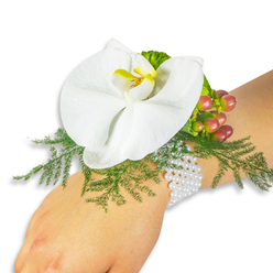 Like a carefully written line in a love letter, this wrist corsage rests on a pale wrist set against a bright white field, each detail composed to be both seen and felt. At its centre sits a luminous white Phalaenopsis orchid, petals broad and satiny, the flower opening with quiet assurance; the throat presents a warm yellow halo deepening into orange at the very centre, a tiny sun held within pale wings. Surrounding the orchid, filigree sprigs of asparagus-style fern float and cradle the bloom, their fine softness giving a lace-like frame that invites the fingertips. Nearby, a tight cluster of Hypericum berries offers a painterly gradient from light green through blush to a rich cranberry tone, their glossy skins reflecting highlights and suggesting gentle ripeness. A ruffled, lime-green accent leaf adds a fresh counterpoint to the deeper greens. Everything is anchored by a refined multi-strand pearl bracelet-small, luminous beads that rest against the skin like an heirloom bracelet, adding a classic glimmer that complements the orchid. The white backdrop allows shadow and highlight to model each surface, revealing the florist's careful wiring and taping so the corsage sits naturally on the wrist. This composition carries a romantic, celebratory mood-suitable for a Canonbury wedding, a prom stroll near Upper Street, or a thoughtful gift delivered by a local hand-an elegant, tactile keepsake made for holding close on a memorable day.