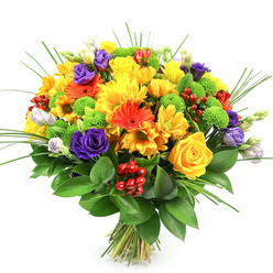 Set against a crisp white backdrop, this exuberant bouquet feels like a pocket of sunshine brought in from a stroll through Canonbury's leafy streets. The hand-tied arrangement forms a generous, rounded shape, densely packed yet expertly balanced so each bloom has room to shine. Golden yellow roses, their petals tightly spiralled at the centre and softening at the edges, mingle with bright yellow chrysanthemums and petite daisy-like flowers, building a joyful foundation of light. Bursts of vibrant orange gerbera daisies arc through the cluster, their wide, radiating petals framing velvety dark centres and adding an energetic, contemporary note. Deep purple lisianthus blooms, some fully opened and others still in elegant bud, introduce a cool, velvety contrast, their ruffled petals echoing the romantic charm of old Canonbury terraces. Lime-green button chrysanthemums punctuate the bouquet like playful dots of colour, while glossy red hypericum berries nestle between the petals, offering rich, berry-like texture and a touch of seasonal festivity. The flowers are supported and framed by lush dark green foliage, probably ruscus, and lifted by slender, upright strands of ornamental grass that give the design movement and height. Every stem is aligned and tied neatly at the base, ready for a vase on a Canonbury kitchen table or a surprise delivery to a friend near Essex Road. The overall mood is bright, uplifting, and warmly welcoming, making this bouquet perfect for celebrating milestones, brightening a grey day, or expressing heartfelt thanks with fresh, colourful flowers.