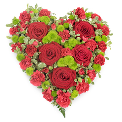 Against a clean white backdrop, a meticulously crafted heart-shaped floral arrangement radiates rich, emotional colour. At its centre and scattered thoughtfully throughout are large, velvety red roses, each bloom opening in layered spirals that suggest tenderness and devotion. Filling the spaces around them, clusters of red carnations form a lush, frilled carpet of petals, deepening the intensity of the red heart and creating a sense of fullness and comfort. Punctuating this sea of crimson are vivid lime-green button chrysanthemums, their rounded, bobble-like heads bringing a modern freshness and a gentle sense of renewal. The interplay between the passionate reds and these bright greens feels carefully considered, like a florist in Canonbury drawing inspiration from the greenery along the New River Walk. Framing the entire heart, variegated foliage with green centres and pale, creamy edges traces the outline, ensuring the heart shape is crisp yet softened by nature's irregularity. Near the lower tip, a small spray of fern-like greenery extends outward, adding a final graceful flourish, as if the tribute is gently reaching toward the person being remembered. The flowers are closely packed, giving the heart a plush, almost cushioned appearance, as though it could hold cherished memories. This design is ideal as a funeral or memorial tribute delivered to Canonbury churches or nearby Islington chapels, where its vivid colour palette can honour a life lived with passion while offering comfort to family and friends gathered in quiet reflection.