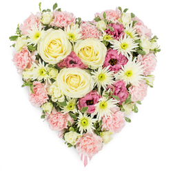 Set against a pure white background, this lush heart-shaped floral tribute appears almost to float, its colours and textures capturing the quiet emotions that surround loss and remembrance. At the heart of the design, several large roses in a gentle cream-to-buttery yellow shade unfurl in perfect spirals, their soft, velvety petals radiating warmth and consolation. They are surrounded by layers of pastel pink carnations, each flouncy, ruffled bloom lending fullness and tenderness, creating a pillowy base that defines the iconic heart shape. Interlaced among the carnations are crisp white spider chrysanthemums, instantly recognisable by their fine, spidery petals and fresh green centres, bringing brightness and a sense of light cutting through sorrow. Nestled in pockets throughout the design, rich magenta-pink lisianthus blossoms add a deeper hue, their slightly ruffled, bell-like forms suggesting quiet sophistication and depth of feeling. Subtle sprigs of small, variegated green leaves emerge here and there, softening the transitions between flowers and keeping the tribute feeling alive and fresh. From the pointed end of the heart, a slender pink ribbon peeks out, hinting that this is a carefully prepared funeral or memorial arrangement, perhaps destined for a chapel in Canonbury, a remembrance at a home near New River Walk, or a quiet service along Essex Road. The blooms are arranged so closely that no gaps break the continuity of the heart, creating a dense, comforting surface that echoes the embrace of family and friends. This floral heart feels like a gentle, wordless message of love, compassion, and gratitude for a life well lived.